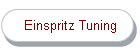 Einspritz Tuning